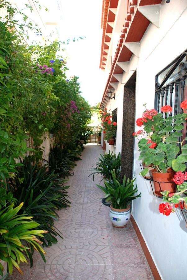 Apartamentos Inter Gandia Playa ภายนอก รูปภาพ